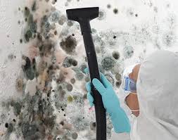 Best Biohazard Mold Removal  in Sherwood Manor, CT